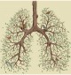 Cystic Fibrosis uitgelegd
